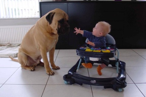 ".... en laat me niet gek maken!"